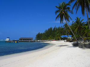 cayman island beaches